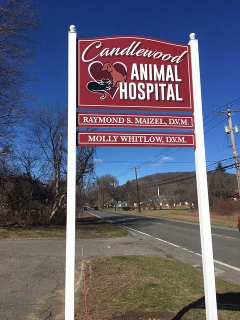 Candlewood Animal Hospital Picture 4