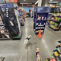 Petco ico