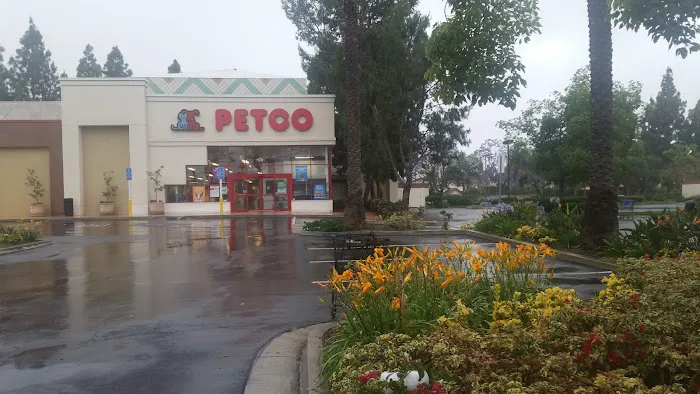 Petco Picture 6