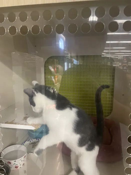 Petco Picture 8