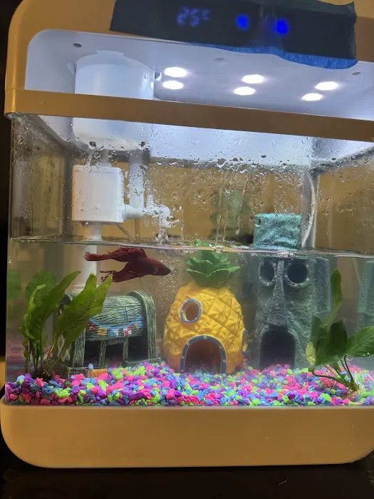 Petco Picture 4