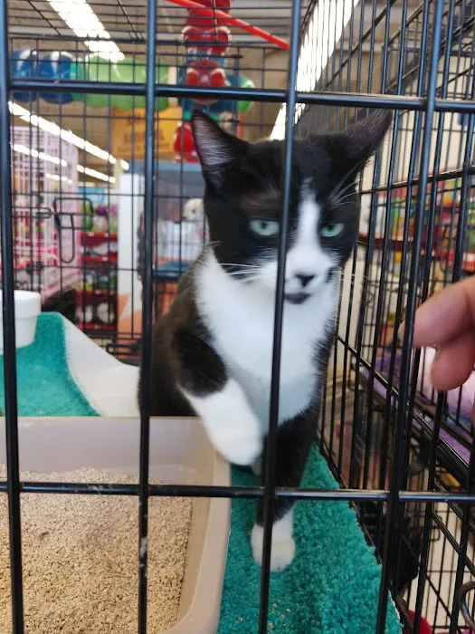 Petco Picture 5