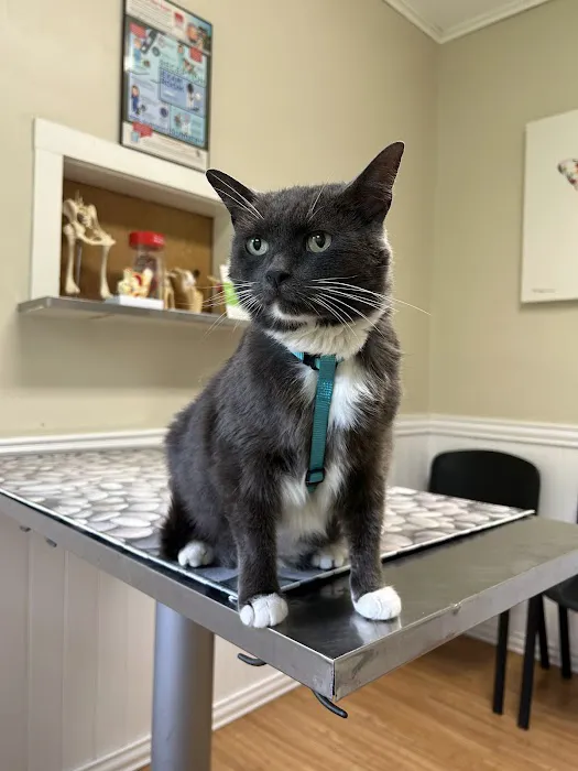 Catskill Animal Hospital Picture 3