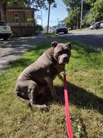 Catskill Animal Hospital Picture 7