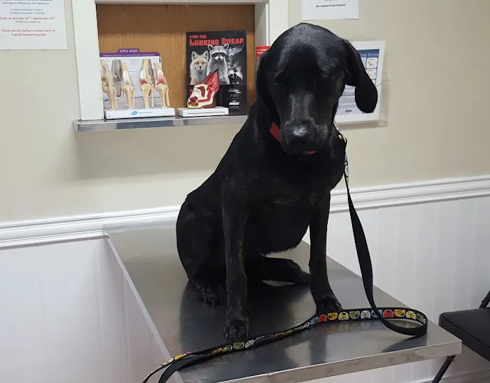 Catskill Animal Hospital Picture 8