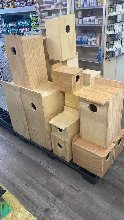 The Canary Finch Store Picture 1
