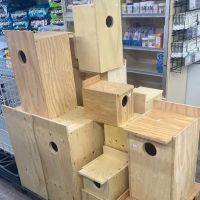 The Canary Finch Store ico