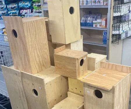 The Canary Finch Store