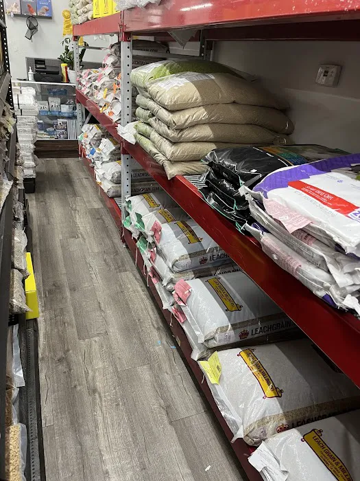 The Canary Finch Store Picture 2