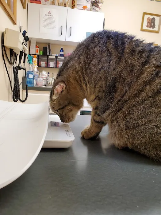 Hudson Veterinary Clinic Picture 8
