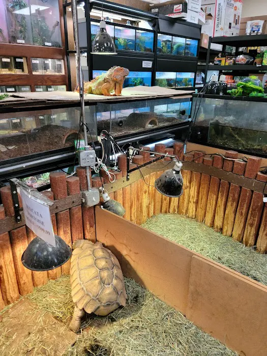 Reptile Island 3 Picture 1