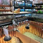 Reptile Island 3
