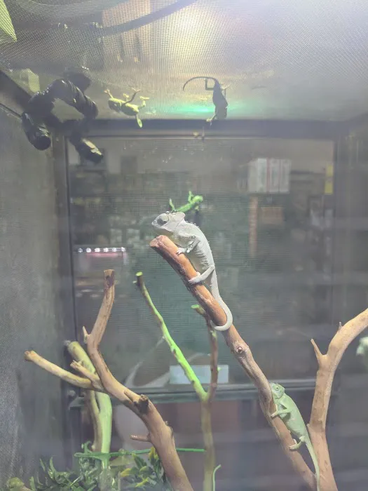 Reptile Island 3 Picture 2