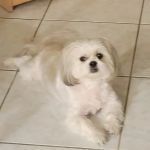 Smith Ridge Veterinary Center