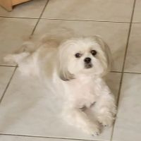 Smith Ridge Veterinary Center ico