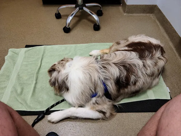 Smith Ridge Veterinary Center Picture 6