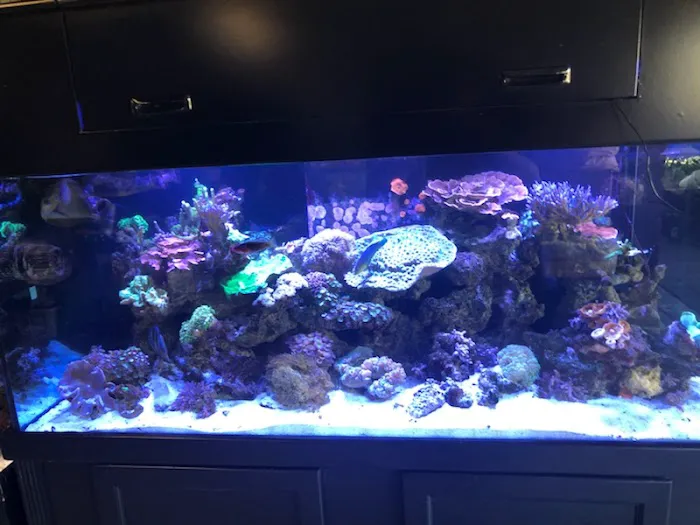 Orange County Reef Care Picture 1