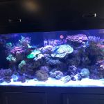 Orange County Reef Care