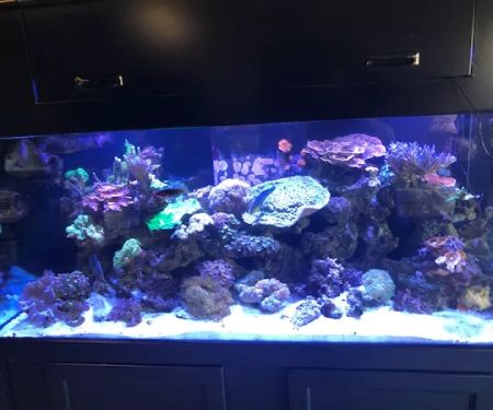 Orange County Reef Care