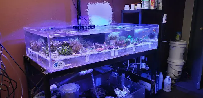 Orange County Reef Care Picture 3