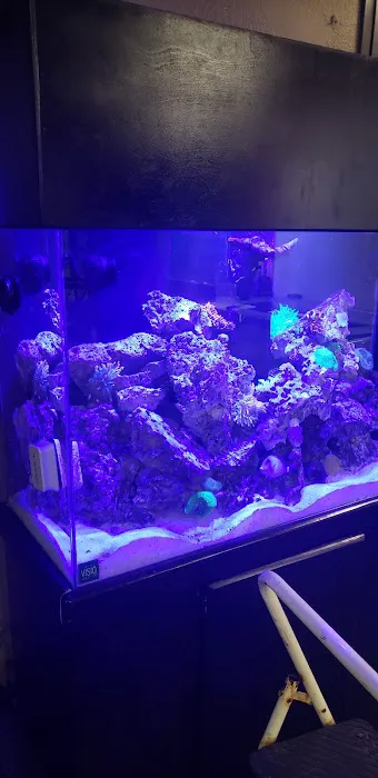 Orange County Reef Care Picture 8