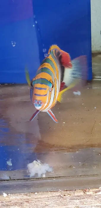 Orange County Reef Care Picture 7
