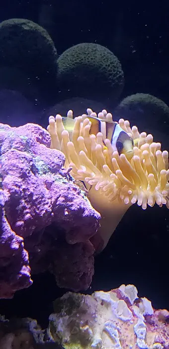 Orange County Reef Care Picture 9