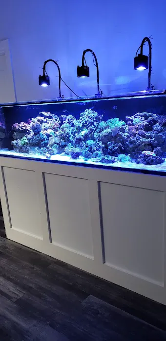 Orange County Reef Care Picture 10