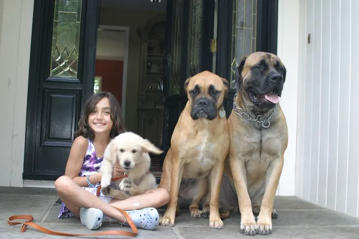 Pound Ridge Veterinary Center Picture 1