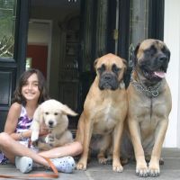 Pound Ridge Veterinary Center ico