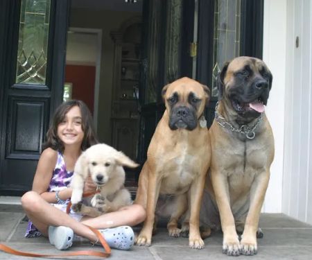 Pound Ridge Veterinary Center