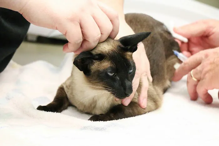 Pound Ridge Veterinary Center Picture 5