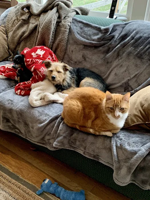 Pound Ridge Veterinary Center Picture 4