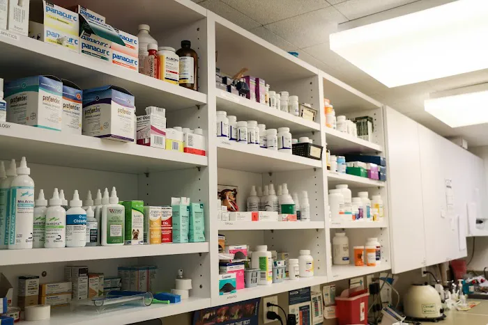 Pound Ridge Veterinary Center Picture 6