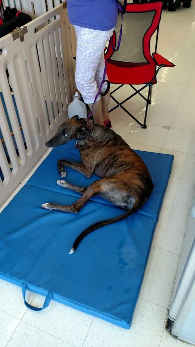 Petco Picture 7