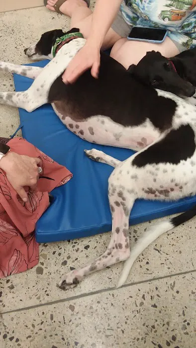 Petco Picture 5