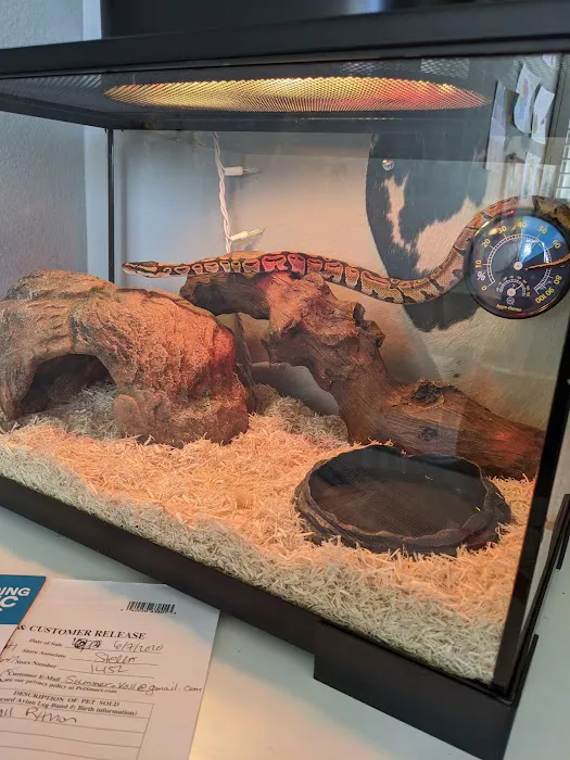 Petco Picture 9