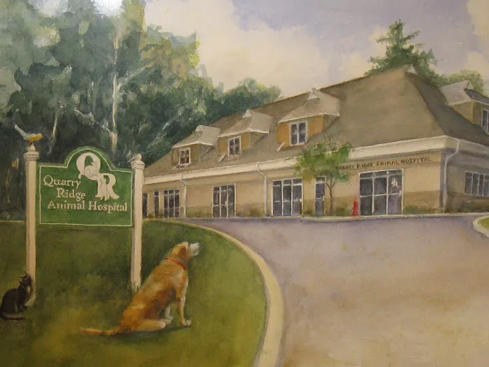 Quarry Ridge Animal Hospital Picture 1