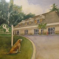 Quarry Ridge Animal Hospital ico