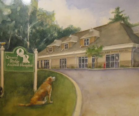 Quarry Ridge Animal Hospital