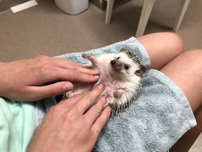 Quarry Ridge Animal Hospital Picture 4