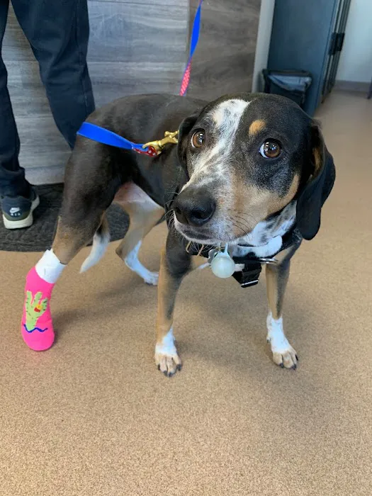 Quarry Ridge Animal Hospital Picture 3