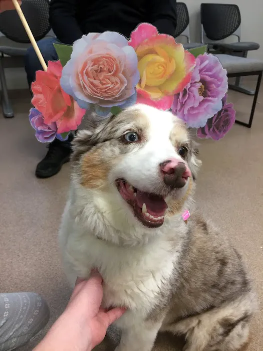 Quarry Ridge Animal Hospital Picture 6