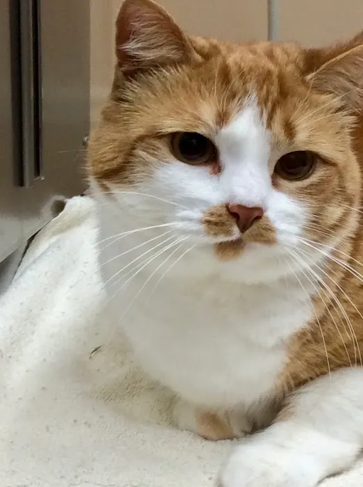 Quarry Ridge Animal Hospital Picture 2