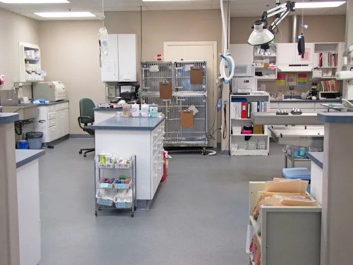 Quarry Ridge Animal Hospital Picture 7