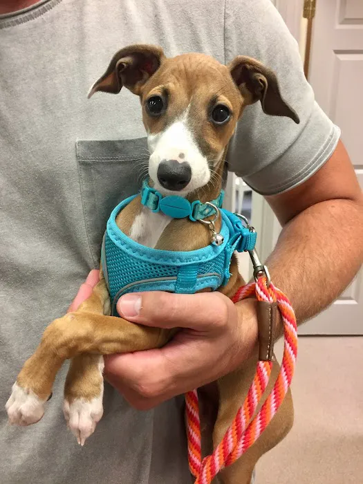 Quarry Ridge Animal Hospital Picture 8