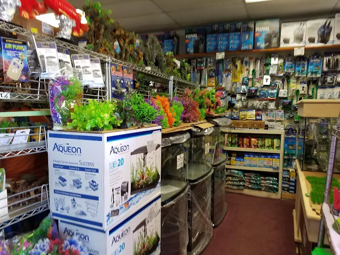 405 Tropical Fish Picture 4