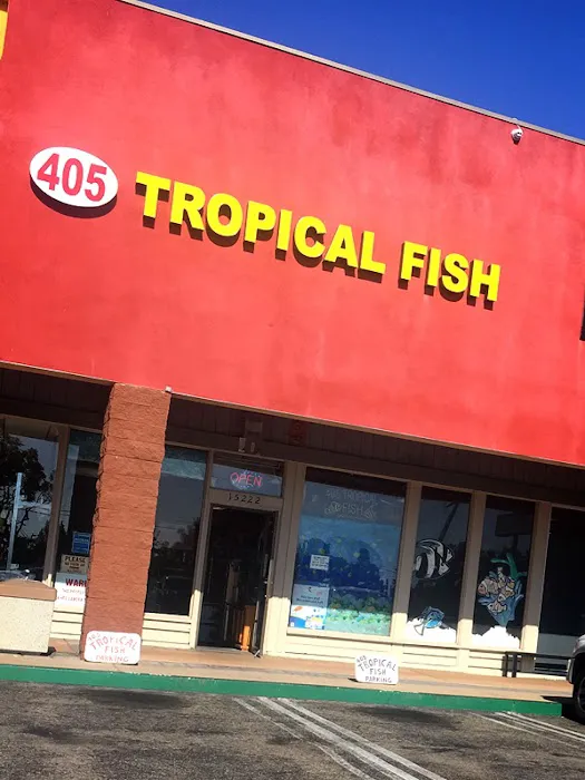 405 Tropical Fish Picture 1