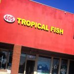 405 Tropical Fish