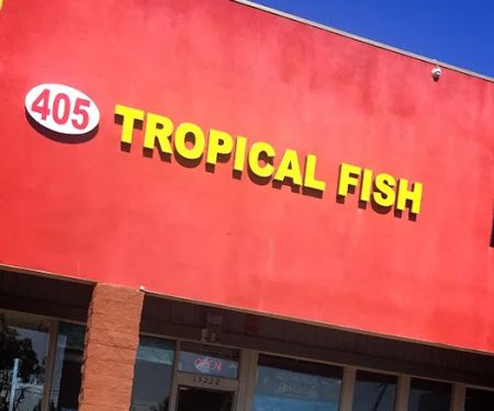 405 Tropical Fish